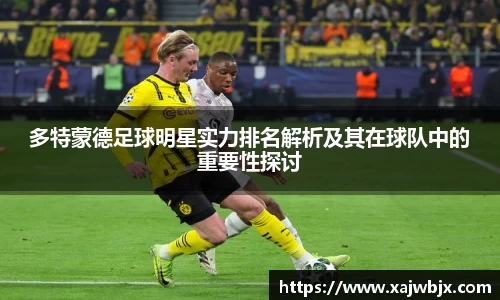 多特蒙德足球明星实力排名解析及其在球队中的重要性探讨