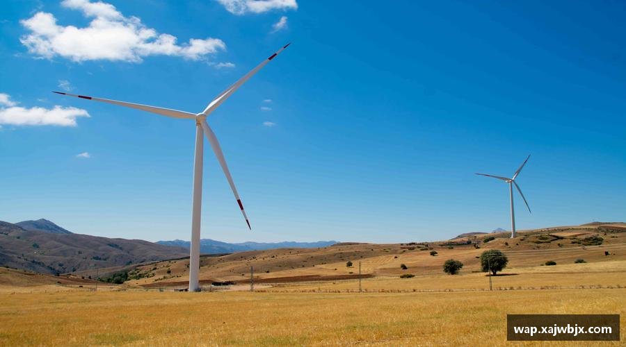 用汗水浇灌梦想的花朵！